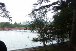 Looking back at the bridge and mainland from Fukuura Island