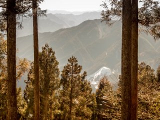 Quang cảnh của các thung lũng xung quanh từ bên trong tán rừng