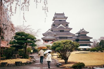 Matusmoto Castle is beautiful all year, but especially during the cherry blossom season