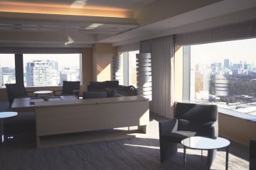 Living Room in the Capitol Suite