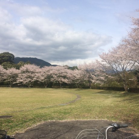 Le Parc Hoihoi Hiroba à Mizukami
