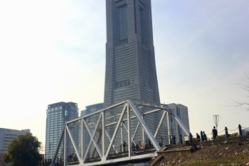Landmark Tower and a flying seagull