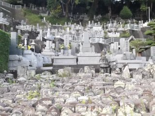 The cemetery stretches away up the slope
