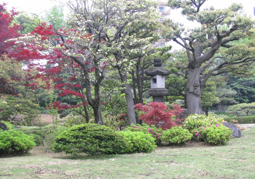 A stone lantern is always the center of a Japanese garden