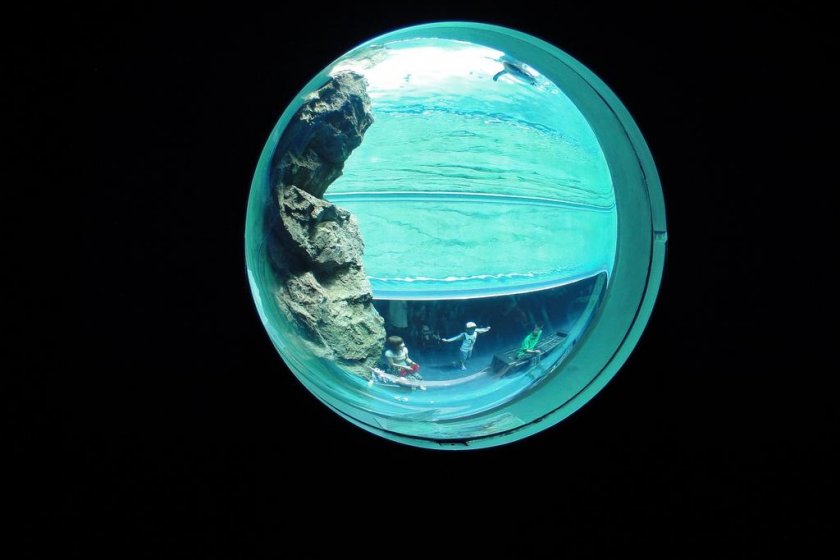 Aquas circular window
