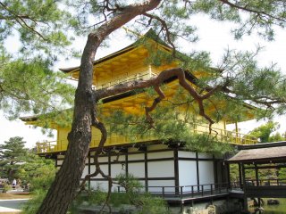 Kinkakuji is surrounded by trees and beautiful garden