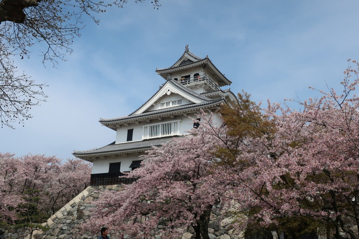 Nagahama castle