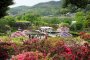 Парк цветов Асикага весной