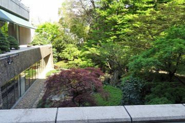 สวนญี่ปุ่นมองจากในโรงแรม