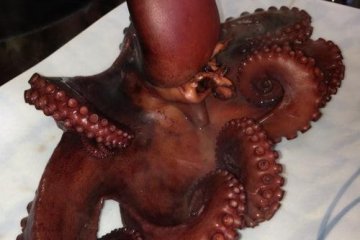 Still steaming, freshly caught, boiled octopus