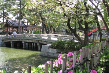 Japanese garden is my special love!