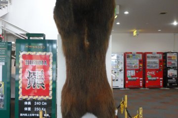 Bear model at the entrance