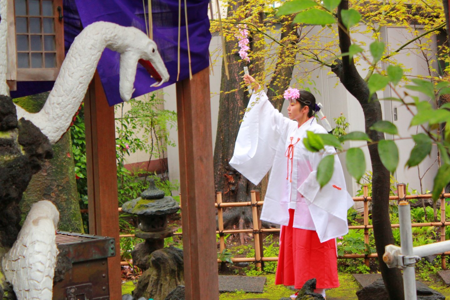 Shinto Purification Ritual