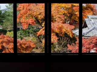 Khung cảnh nhìn từ cửa sổ nhà hàng thật ấn tượng, đặc biệt là vào mùa thu và mùa xuân