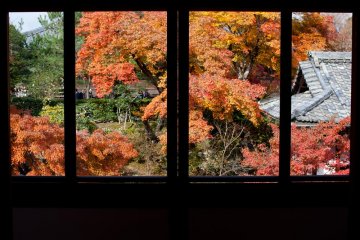 The view from the restaurant windows is stunning, especially during autumn and spring