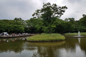 สวนโยะโยะกิ เปรียบดังสวนลุมพินีของญี่ปุ่น ที่มีผู้คนทุกเพศทุกวัย มาทำกิจกรรมต่างๆ หลายรูปแบบ 