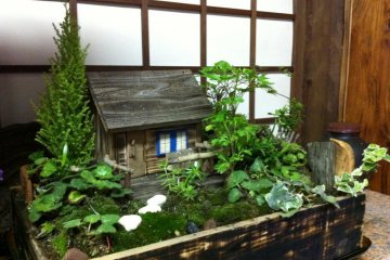A handmade house and garden