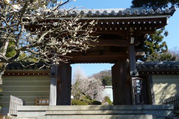 The front gate of Jomyo-ji Temple