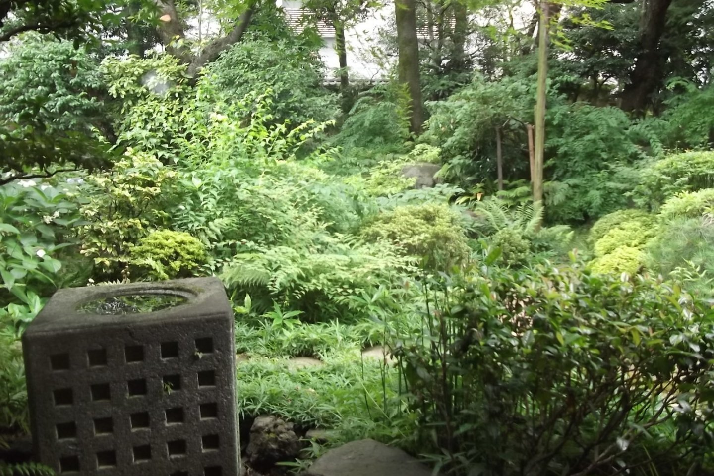 The garden where Yokoyama would relax