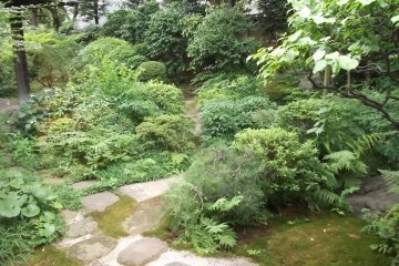 Yokoyama doubtless strolled on this path through the garden