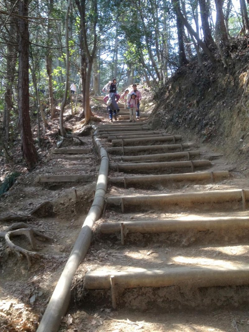 Inariyama Trail - Steps, Steps, Steps