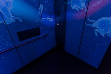 The elevator to the observatory hosts some interesting art