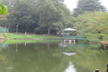 Omiya Park Pond