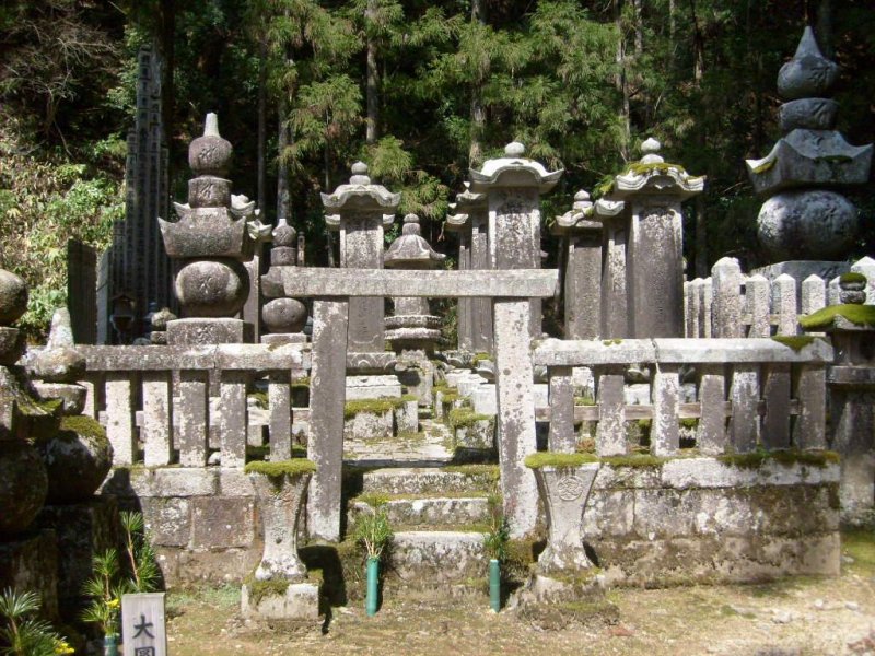 <p>Trees and foliage grow around all the graves</p>