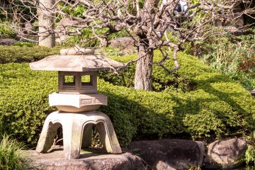Entering the gates, you are greeted by a view of traditional Japanese gardens