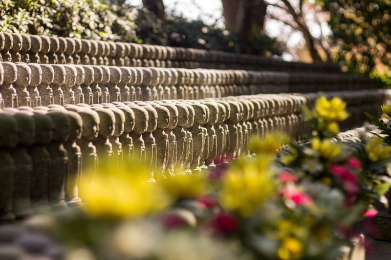 Hundreds of tiny jizo statues, whose purpose is to care for souls of unborn children and of those who die at a young age, line the walls next to the Jizo hall