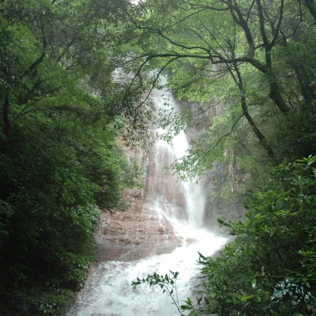 Waterfalls of Tsuwano