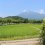 Khám phá nền nông nghiệp ở Hirosaki