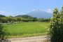 히로사키에서의 농촌 체험 
