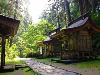 Haguro-san, representing birth, marks the start of your journey. Follow the path through a shady cedar forest.