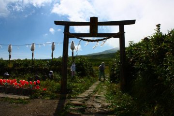 Now across to Gassan, and another torii marks the start of the hiking trail. Gassan represents the death portion of the pilgrimage, but don't let that put you off - there are some beautiful views along the way.