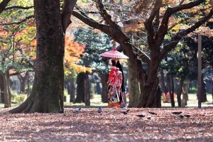 สวนโยะโยะกิ (Yoyogi) เป็นหนึ่งในสวนสาธารณะที่เก่าแก่ที่สุดในประเทศญี่ปุ่น 