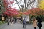 สัมผัสความงามของใบไม้เปลี่ยนสีในสวนญี่ปุ่น