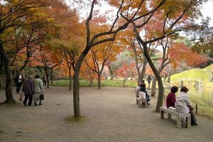 สวนโคะอิชิคะวะ โคะระคุเอ็น (Koishikawa Korakuen) หนึ่งในสวนญี่ปุ่นที่เก่าแก่ที่สุดในโตเกียว
