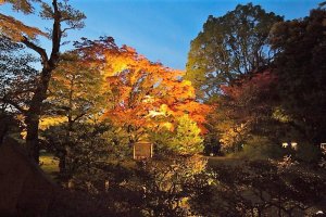 สวนริคุงิเอน (Rikugien) สวนญี่ปุ่นที่เก่าแก่อีกแห่งหนึ่งในโตเกียว 