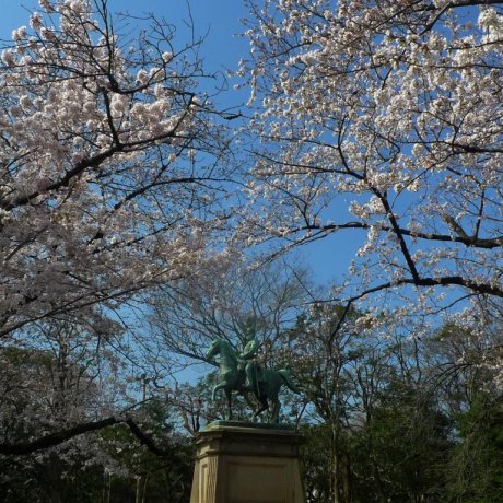 Taman Ueno di Musim Sakura