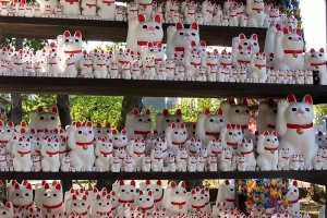 ตุ๊กตามะเนะกิ เนะโกะ (Maneki Neko) ตุ๊กตาแมวกวักหรือแมวนำโชค 