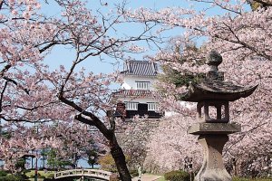 Festivals du printemps à Nagasaki