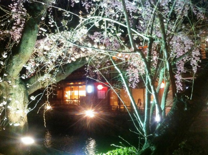 Relax at a waterside restaurant by the canal at Gion Shirakawa in Springtime