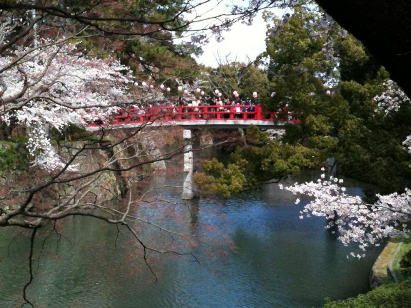 The bridge crossing the moat to Okazaki Castle is a popular photo spot