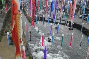 เทศกาลสายรุ้งปลาคาร์พที่ Tsuetate Onsen 