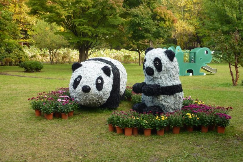 Cute panda displays and flowers at the Hirosaki Botanical Gardens