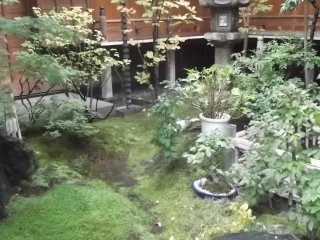 The very small but very pleasant temple garden
