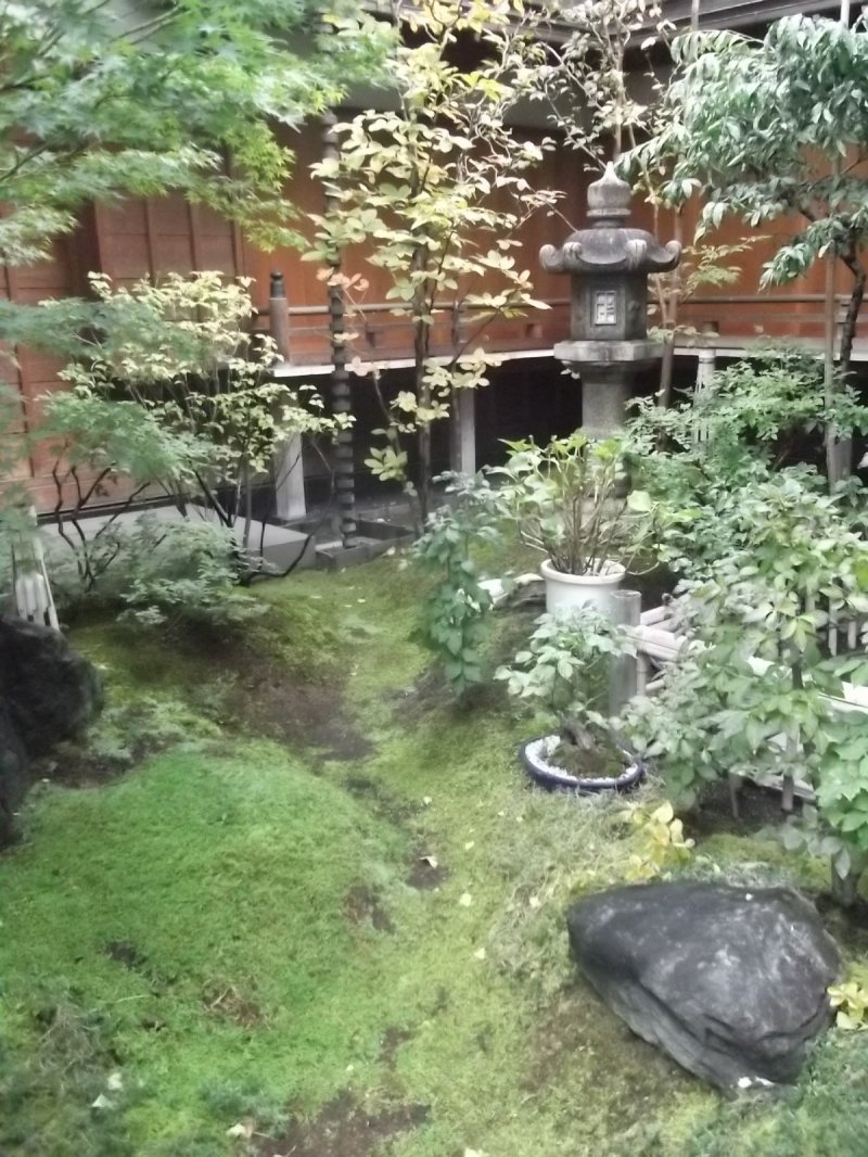 The very small but very pleasant temple garden