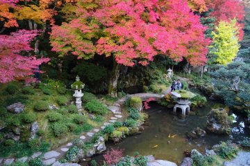 Japanese garden with autumn colors