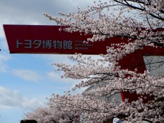The museum is surrounded by cherry trees